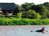 Karen Blixen Camp - Waterhole 